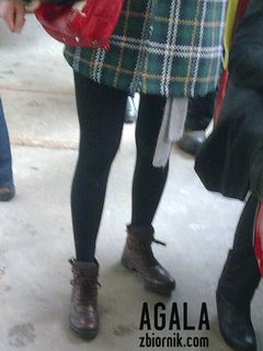Zdjęcie037l.jpg