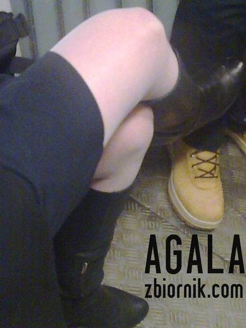 Zdjęcie060kol.jpg - AGALA