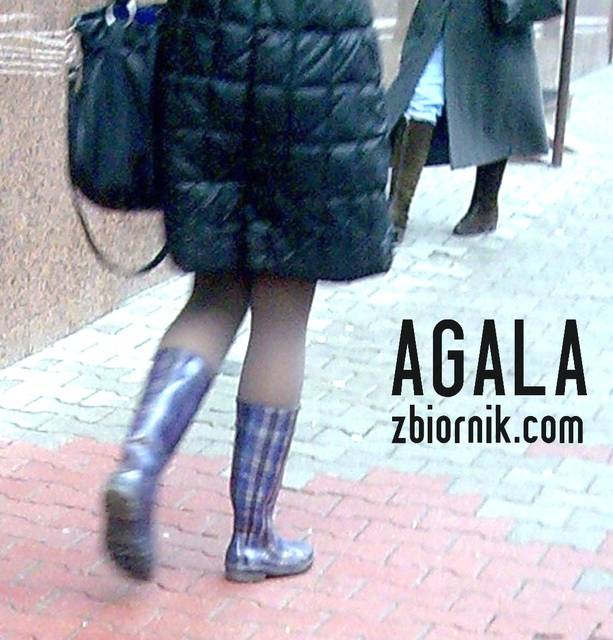 Zdjęcie076v.jpg - AGALA