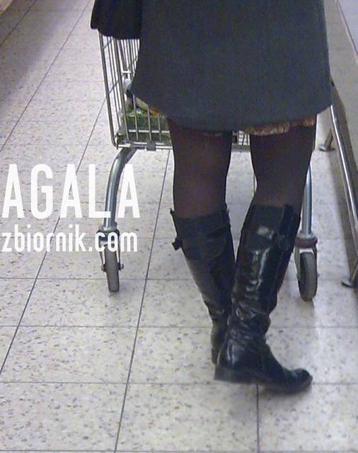 Zdjęcie306v.jpg - AGALA