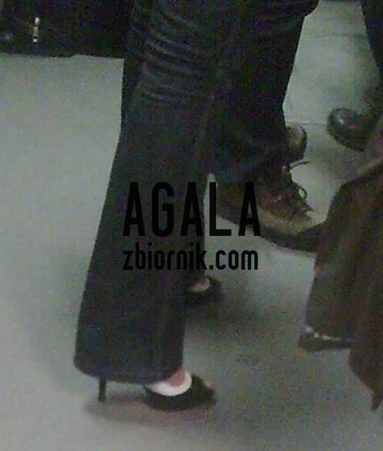 Zdjęcie286v.jpg - AGALA