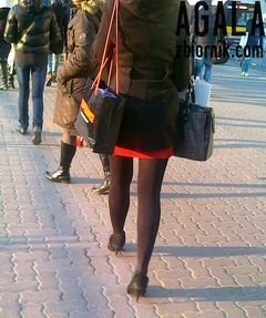 08032012667cz.jpg