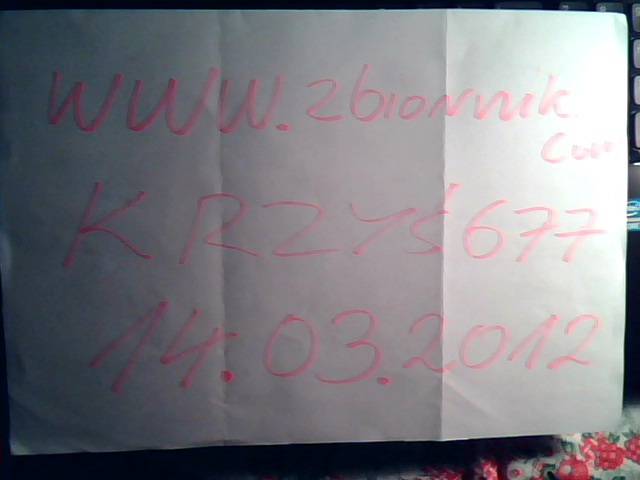 krzys677