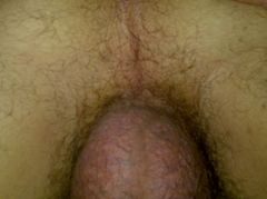 IMG-20120315-00035.jpg