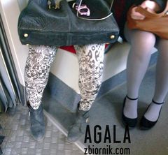 Zdjęcie008L.jpg
