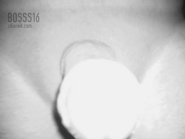 bosss16