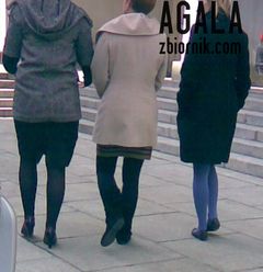 Zdjęcie149kol.jpg
