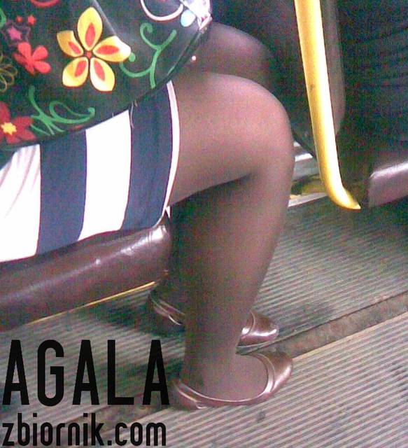 Zdjęcie217v.jpg - AGALA
