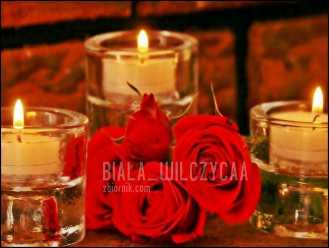 :) - biala_wilczycaa