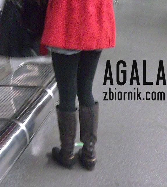 CZdjęcie003cz.jpg - AGALA