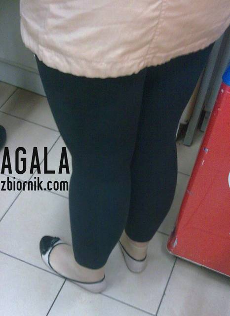 Zdj01leg.jpg - AGALA