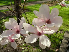 DSCF5314.JPG