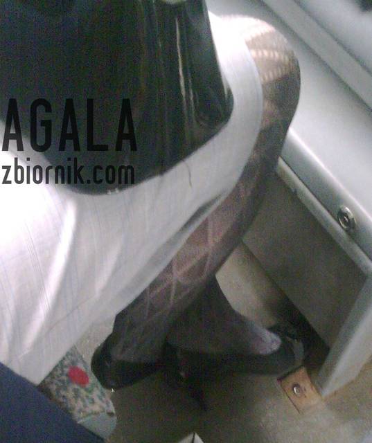 SrdZdjęcie011odj.jpg - AGALA