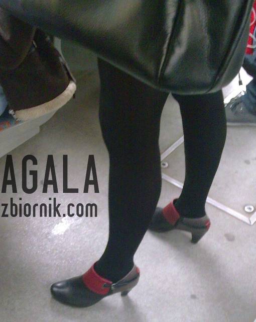 SrdZdjęcie005cz.jpg - AGALA