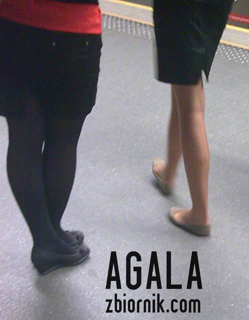 Wte009cz.jpg - AGALA