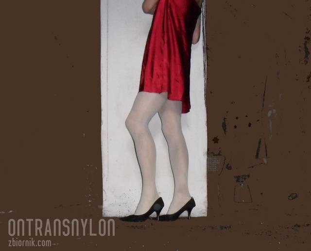 SAM_1025.JPG - OnTransNylon