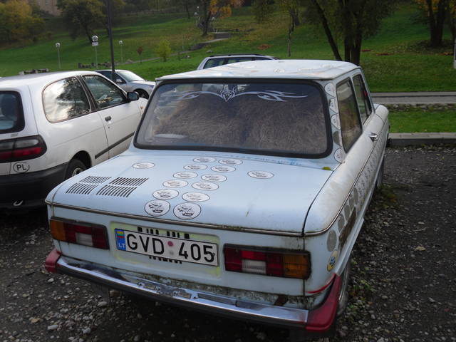 osinek