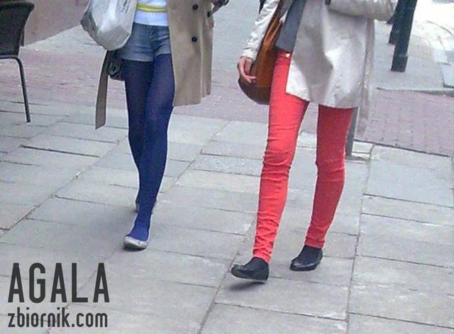 Dnpde008kol.jpg - AGALA