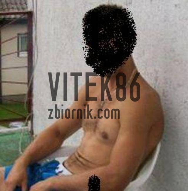 Vitek86