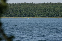 IMG_1410.JPG