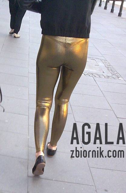 Fpt018l.jpg - AGALA