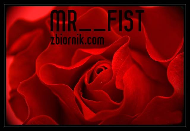 Mr__fist