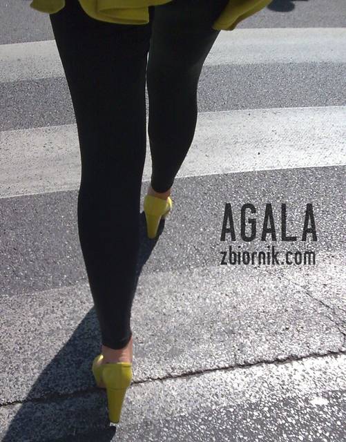 Fpt014l.jpg - AGALA