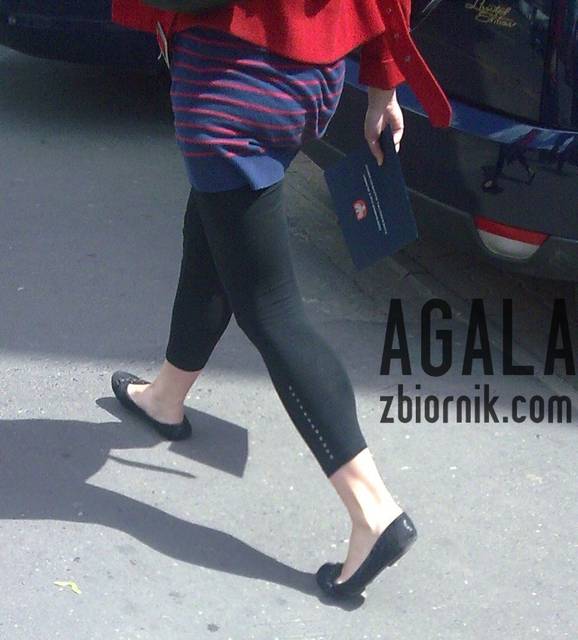 Pwcd07l.jpg - AGALA