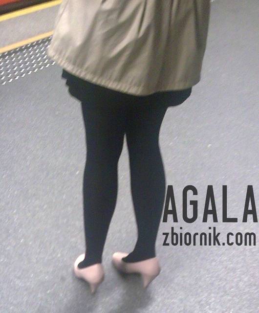Dnmt009cz.jpg - AGALA