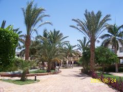 100_2276.JPG