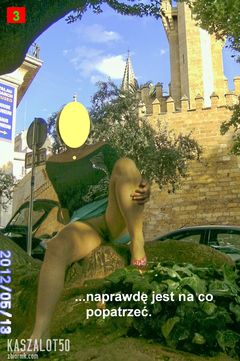 PICT2481pk.jpg