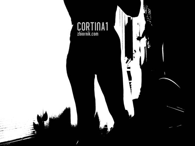 cortina1