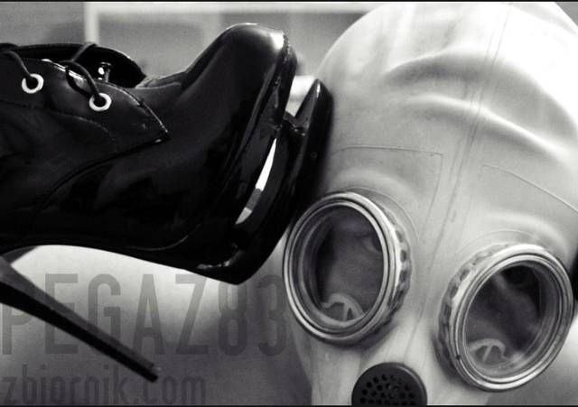 pegaz83
