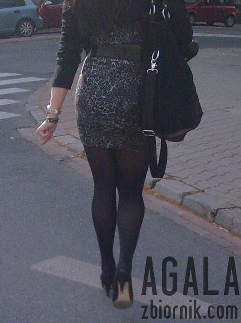 Zse003cz.jpg - AGALA