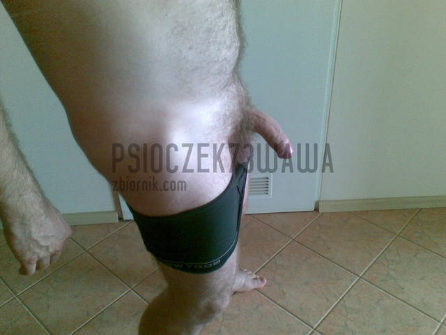Psioczek - psioczek73wawa