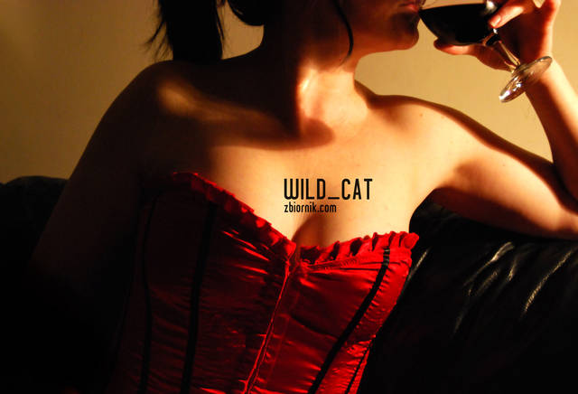 wild_cat