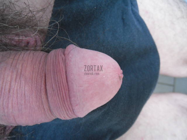 SAM_1234.JPG - zortax