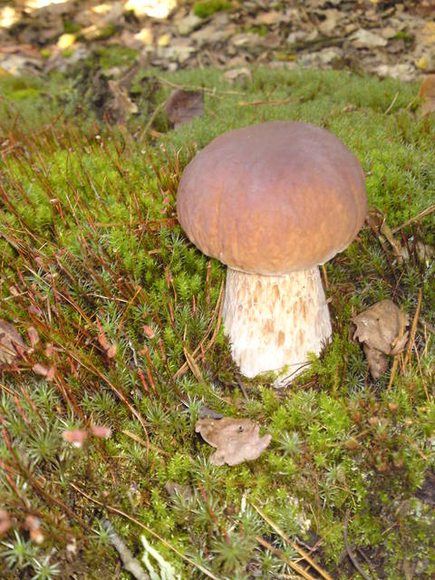 DSC01673.JPG - marekbi002