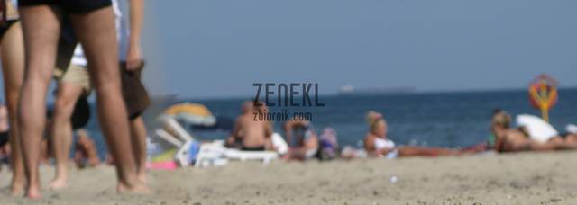plaza_1.jpg - zenekl