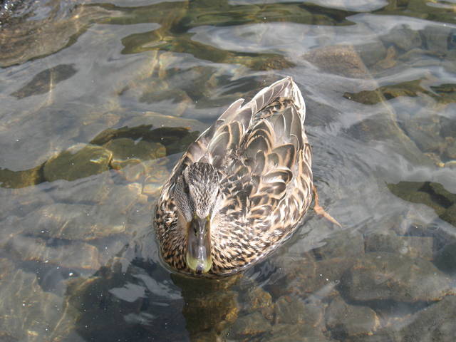 zaciasny_wieslaw