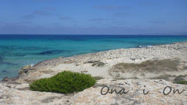 Ona__i__On