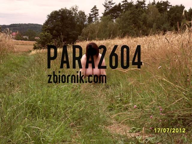 para2604