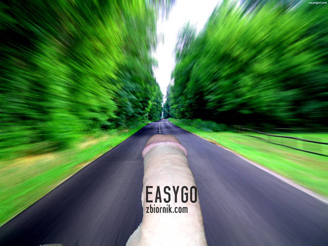 EasyGo