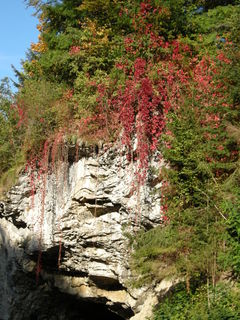DSCN0369.jpg