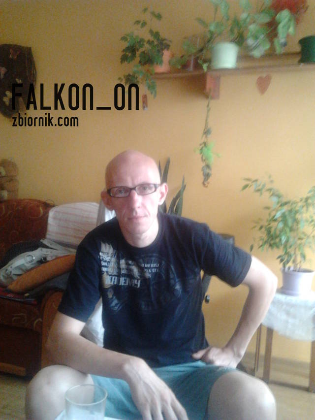 Falkon_on