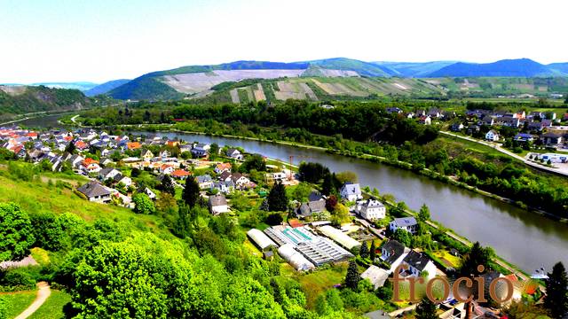 Saarburg 2 - frocio