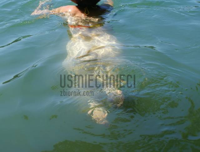 usmiechnieci