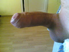 20090502(004).jpg