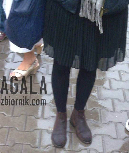 Biet006cz.jpg - AGALA