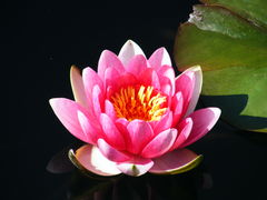 DSCF0059.JPG
